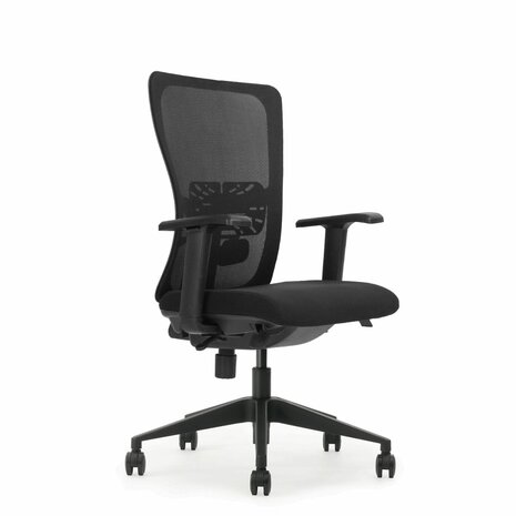 Schaffenburg serie 250-NEN ergonomische bureaustoel